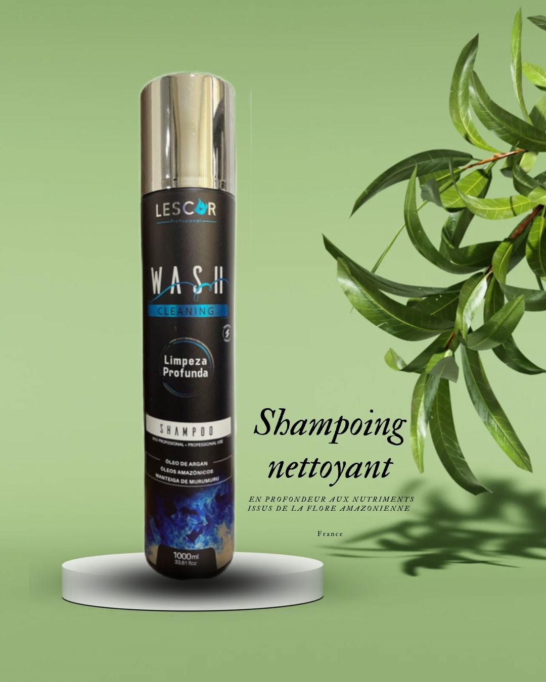 Shampoing Clarifiant Professionnel  1000ml – Wash Cleaning Lescor